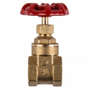 Torrenti Gate Valve Brass Med Dty 20MM
