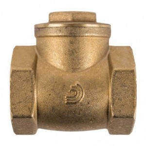 Torrenti Valve Swing Check Brass 40MM
