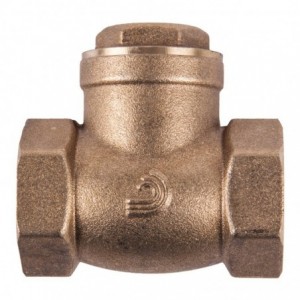 Torrenti Valve Swing Check Brass 65MM