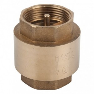 Torrenti Valve Check Brass Spring Loaded 32MM