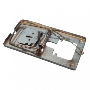 Rat Trap