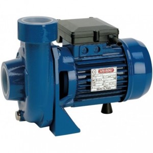 Speroni Pump Centri Sgle Stage 50X50MM 1.1KW 230V