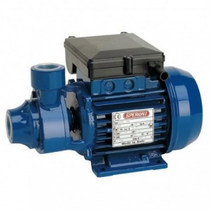 Speroni Pump Peripheral Turb 25X25MM 0.37KW 230V