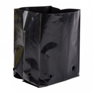 Rje Plant Bag 75X50X180MM GF2 0.75L 50 P/PACK