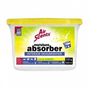 Air Scents Moisture Absorb Dehum Li And Ja 500ML