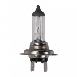 U-PART Globe 12V 55W Halogen H7 H71255W 1PACK