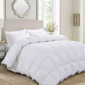 Grandeur Feather Down Comforter - Quarter - Finer