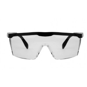 Pioneer Spectacles Euro Clear Price P/EA 12 PACK