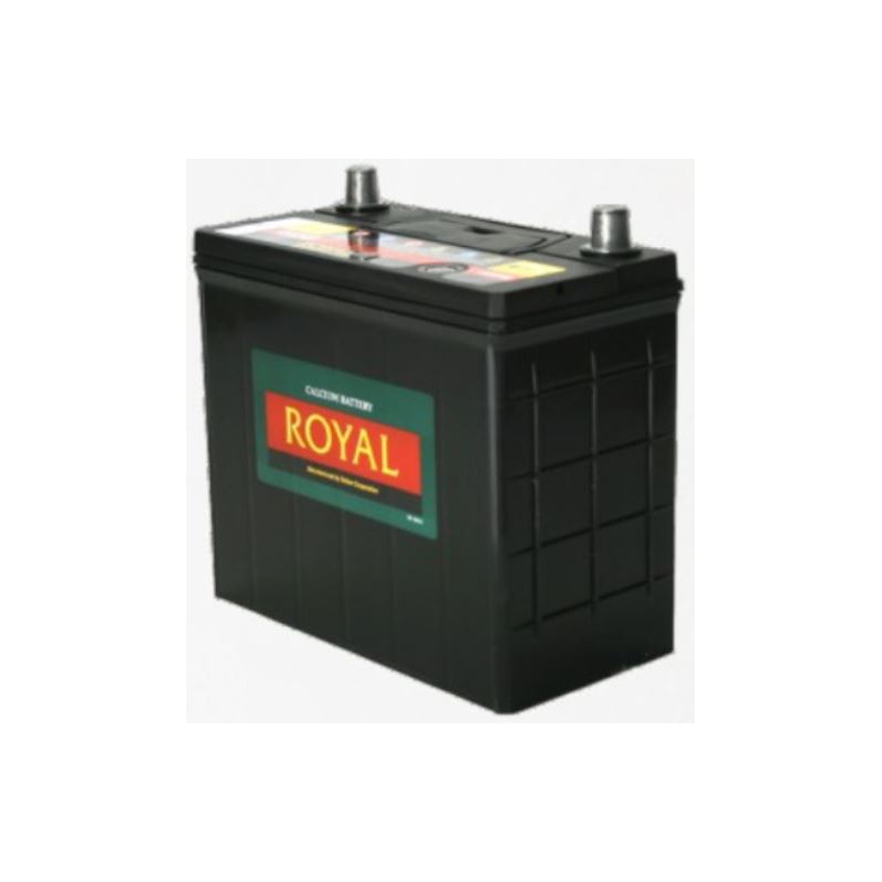 Royal Delkor NS60 45AH Deep Cycle Battery - 12 Volt