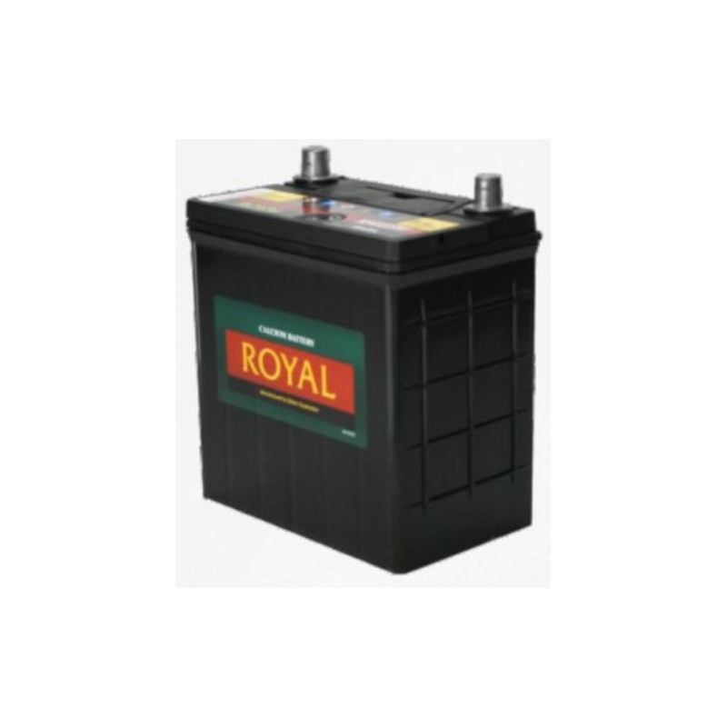 Royal Delkor NS40 35AH Deep Cycle Battery - 12 Volt