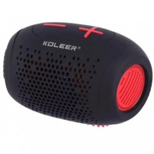 Blue Tooth Speaker
