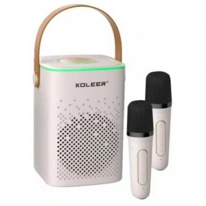 Blue Tooth Speaker