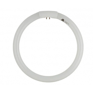 G10q - 22w T5 Circuline FLR -RADIANT