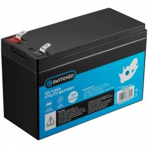 SWITCHED  LifePo4 Gate Motor / Alarm Battery