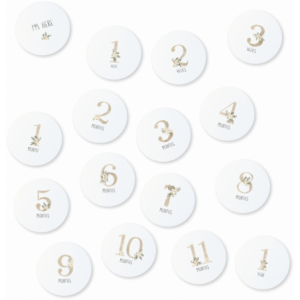 Milestone Cards - Floral