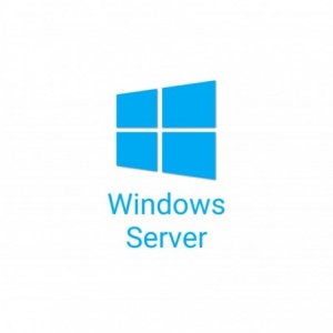 50 Pack Windows Server 2025/2022 User CALs (STD or DC) Cus Kit