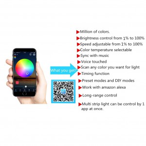 WenTop Wireless Smart  LED Strip Light kit with DC12V UL Power Supply - 5M