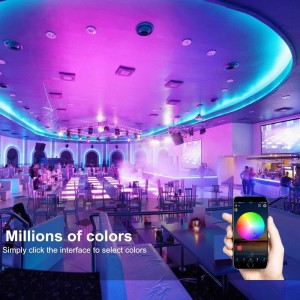 WenTop Wireless Smart  LED Strip Light kit with DC12V UL Power Supply - 5M