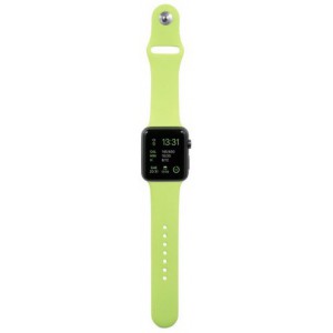 Apple Silicone Watch Strap 42mm-Light Green