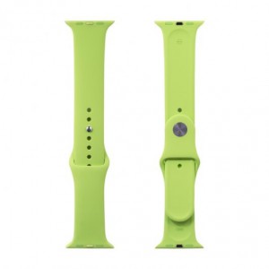 Apple Silicone Watch Strap 42mm-Light Green