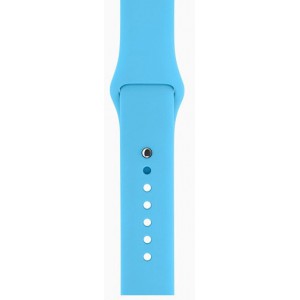 Apple Silicone Watch Strap 42mm-Light Blue