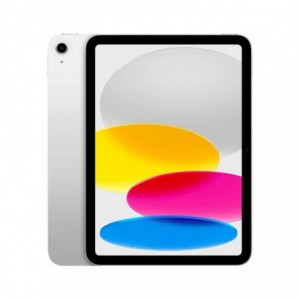 11-INCH Ipad WI-FI 256GB - Silver
