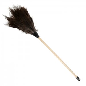 Apollo Feather Duster 450MM