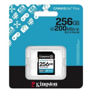 SDG4/256GB sdXc CanvasGo