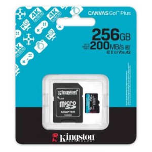 SDCG4/256GB miCrosdXc CanvaG