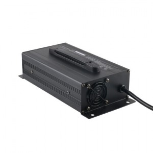 CS Golf Cart Charger 48V20A - no outlet connector