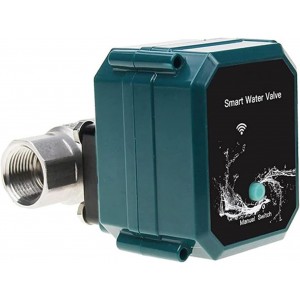 Adjustable WiFi Water Valve DN20 | Remote ON/OFF - Variable Flow - Automatic Memory After Power Failure