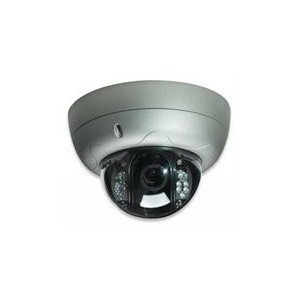 Intellinet 550413 PRO Serie R Network Dome