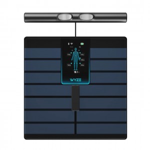 Wyze Scale Ultra BodyScan | Professional-Grade Precision - Right At Home