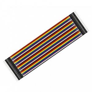 JUMPER LEADS 200mm 40W PLUG-PLUG M/M 10220037
