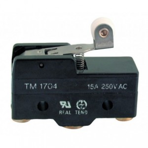 Large Micro Limit Switch Spdt ROLL26 Scr B183L