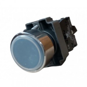 22mm PUSH BUTTON FLUSH NON-LATCHING BLUE NO PB-ADP2-BA61W