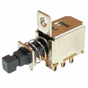 Push Butt Switch Mom Dpdt ON-(ON) B14096