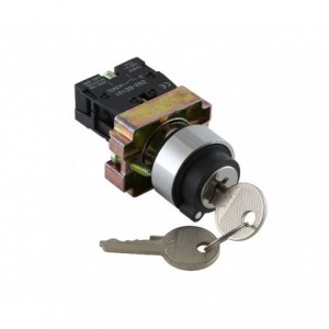 2 Pos Key SWITCH- 2 Spring Return No PB-ADP2-BG61