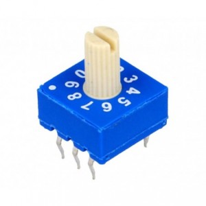 Rotary Dip Switch 10W R/CODE Shaft ERD210RRZ Bcd Real Wt