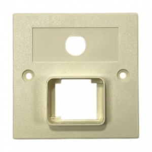 Data and BNC Faceplate IBC-24