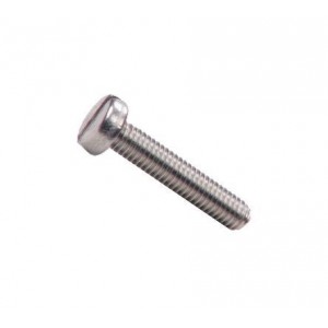 SCREW CHEESE HEAD M6x20 PLATED M6X20