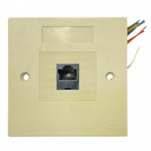 Faceplate RJ45 8P8C FP8W8P
