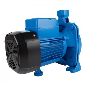 Pascali Pump Centrifugal 0.75KW 230V