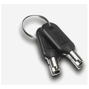 Master Key To Unlock All Locks - Set Of 2 Lock