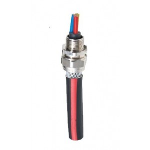 Ccg BW1- Size 4 Captive Cone Armoured Cable Gland