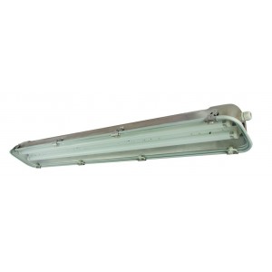 1X18W T8 230V S/STEEL White Reflector + Glass Cover IP66