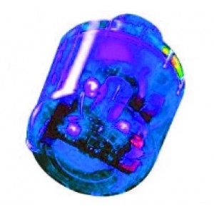 110/120VAC/DC Flashing LED Blue