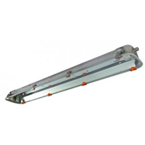 1X18W RINO-EX Stainless Steel Lighting Fitting IP66