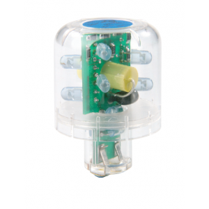 12VAC/DC Continuous LED Clear