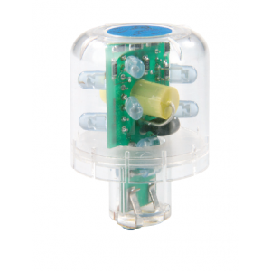 24VAC/DC Continuous LED Clear